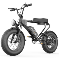 Freego DK200 Off Road Mountain Electric Bike 20'' Fat tires 1200W Powerful Motor 20Ah