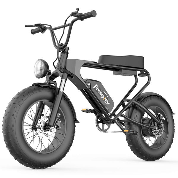 Freego DK200 Off Road Mountain Electric Bike 20'' Fat tires 1200W Powerful Motor 20Ah