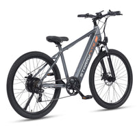 ARIES PREMIUM ALL TERRAIN EBIKE