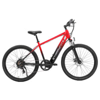 ARIES PREMIUM ALL TERRAIN EBIKE