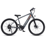 ARIES PREMIUM ALL TERRAIN EBIKE