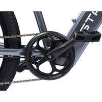 ARIES PREMIUM ALL TERRAIN EBIKE