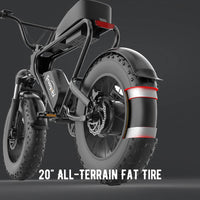 Freego DK200 Off Road Mountain Electric Bike 20'' Fat tires 1200W Powerful Motor 20Ah