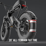 Freego DK200 Off Road Mountain Electric Bike 20'' Fat tires 1200W Powerful Motor 20Ah
