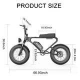 Freego DK200 Off Road Mountain Electric Bike 20'' Fat tires 1200W Powerful Motor 20Ah