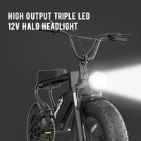 Freego DK200 Off Road Mountain Electric Bike 20'' Fat tires 1200W Powerful Motor 20Ah