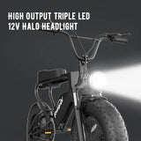 Freego DK200 Off Road Mountain Electric Bike 20'' Fat tires 1200W Powerful Motor 20Ah
