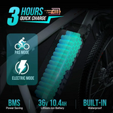 Macfox 26 In. Mountain Electric Bicycle, 350 W Motor,  36V Removable Battery, 20Mph with 21 Speed Gears, Black