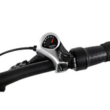 URBANITE 20" 7-SPEED 700W 28MPH FOLDABLE ELECTRIC BIKE WITH HYDRAULIC BRAKE