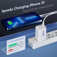 USB C Charger, Raycono 30w USB-C Power Adapter, Wall Fast Charging Block Compatible with MacBook/iPhone 13/13 pro/12 Mini Pro Max/iPad Pro/Galaxy S21+/Note 10+, Pixel 6 and More (Cable Not Included)
