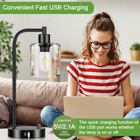 Set of 2 Industrial Table Lamps with 2 USB Port, Fully Stepless Dimmable Lamps for bedrooms, Bedside Nightstand Desk Lamps with Seeded Glass Shade for Reading Living Room Office 2 LED Bulb Included