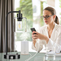 Set of 2 Industrial Table Lamps with 2 USB Port, Fully Stepless Dimmable Lamps for bedrooms, Bedside Nightstand Desk Lamps with Seeded Glass Shade for Reading Living Room Office 2 LED Bulb Included