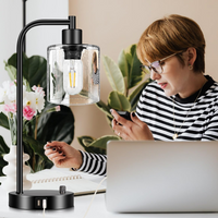 Set of 2 Industrial Table Lamps with 2 USB Port, Fully Stepless Dimmable Lamps for bedrooms, Bedside Nightstand Desk Lamps with Seeded Glass Shade for Reading Living Room Office 2 LED Bulb Included