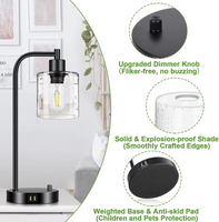 Set of 2 Industrial Table Lamps with 2 USB Port, Fully Stepless Dimmable Lamps for bedrooms, Bedside Nightstand Desk Lamps with Seeded Glass Shade for Reading Living Room Office 2 LED Bulb Included