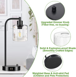 Set of 2 Industrial Table Lamps with 2 USB Port, Fully Stepless Dimmable Lamps for bedrooms, Bedside Nightstand Desk Lamps with Seeded Glass Shade for Reading Living Room Office 2 LED Bulb Included