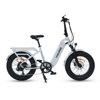 ViaCarrier Utility Cargo Electric Bike 30MPH 60Miles Range
