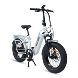 ViaCarrier Utility Cargo Electric Bike 30MPH 60Miles Range
