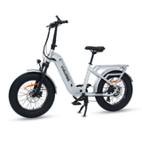 ViaCarrier Utility Cargo Electric Bike 30MPH 60Miles Range