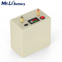 Mr.Li 12V 25Ah Lifepo4 Rechargeable Battery Pack With 6A Charger For Outdoor Camping Power Supply Fish Finder Solar System