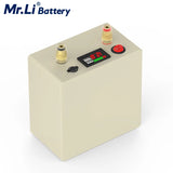 Mr.Li 12V 25Ah Lifepo4 Rechargeable Battery Pack With 6A Charger For Outdoor Camping Power Supply Fish Finder Solar System